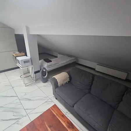 Villa Ventana Poznan City Free Parking Sniadanie W Cenie 3*